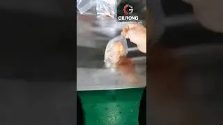 Testing video of automatic stand up plastic bag cookie packaging machine