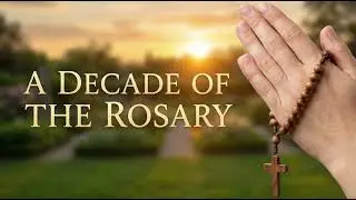 3 Minute Rosary Prayer | One Decade (English)​