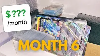 Мой бизнес по продаже карточек Pokémon спустя 6 месяцев