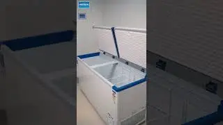 Deep/Chest Freezer- Frigoglass by Made In India