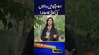 Tree Cutting Controversy in Islamabad | Breaking News | Geo News