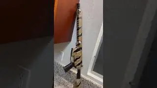 Easy tutorial for rattle can Tiger Stripe paint job for AR-15 #gunculture #viral #tigerstripe #diy