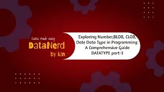 Exploring Number, BLOB, CLOB, Date Data Type in Programming: A Comprehensive Guide DATATYPE&nbsp;part-3