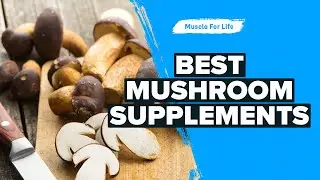 What You Need to Know About Mushroom Supplements