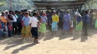 Pascol - Fiesta Tradicional de la Baja Tarahumara 2010