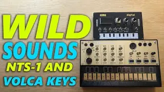 NTS-1 and Volca Keys Make Wild Sounds Together!