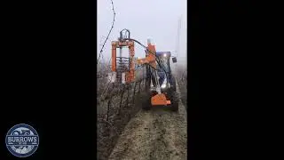 Burrows Tractor Provitis Demo
