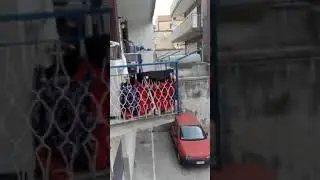 pioga