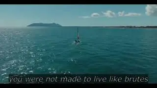 Hobie Raid Velico