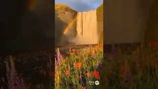 💧✨ Waterfall + Rainbow + Flowers = PURE MAGIC! #nature