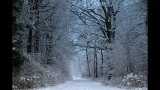Relaxation Music, Cello & Piano (based on a Melody by Bartok)