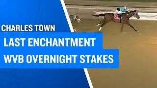 2025 $40,000 Last Enchantment WVB Overnight Stakes at Race Charles Town