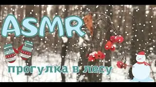 АСМР прогулка в зимнем лесу, хруст снега / ASMR walking in the winter forest, sound of snow