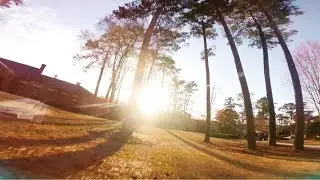 Organic Flow (Things Are Changing)