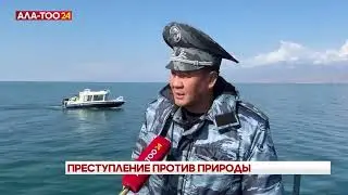 🚨Милиция продолжает борьбу с браконьерством на озере Иссык-Куль