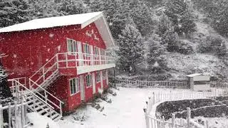 Mussoorie Snow Fall 2021 | Dhanaulti Snow Fall 2021