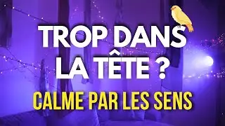 STRESS ? M&eacute;ditation d'ancrage sensoriel pour revenir au calme | Pleine conscience