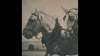 Ivory Trade - The Untold Gaze [Full Album]