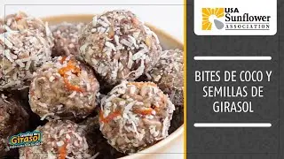 Bites de Coco y Semillas de Girasol
