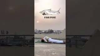 Which Wild Animal pose you like it? 🐋🐍Animal Pose 🐦&zwj;⬛🦇🦋#shorts #yoga #trending