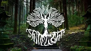 Meditative Sessions: Mungk {Nature Bath | Atmospheric | Biophilia | Ambient}