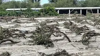 El temporal dejó destrozos en viviendas, fincas y comercios de Zonda