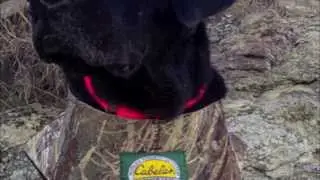 Duck Season in Review Music Clip 2013