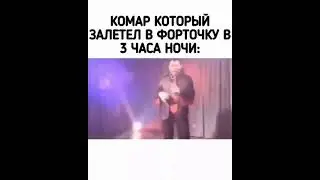 комар, который залетел в форточку в 3 часа ночи:
