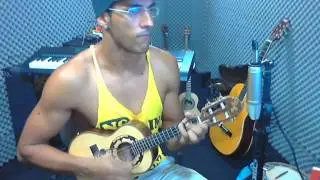 Codinome Beija- Flor