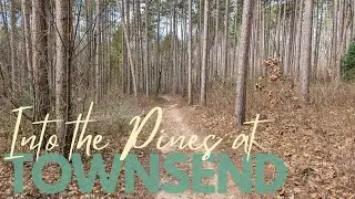 Exploring the PINE PLANTATIONS, Townsend Park | Full Hike POV | Hiking, Nature ASMR | Kent Co, MI