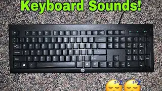 Keyboard Sounds! ~MonkeyASMR