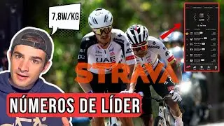 PESCADOR, ¿el PRÓXIMO GRAN ESCARABAJO? / Los NÚMEROS ESTRATOSFÉRICOS de los GREGARIOS de POGACAR