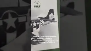 P-51D Mustang trivia #ww2 #wwii #history #aviation #p51 #mastersoftheair #normandy #dday