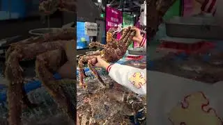 Monster Crab from the Ocean 🌊🦀