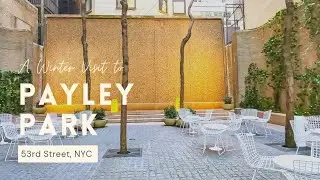 Paley Park in the Winter - NYC