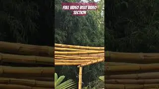 Making of a #bamboo #canopy for full video visit video section