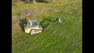 Trimming a big oak with the skid steer limb saw.  Limb Blazer.