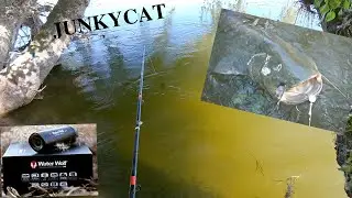 Silure au clonk du bord, Water Wolf 2.0 , Fireball poisson mort
