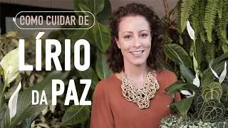 5 DICAS pro L&Iacute;RIO da PAZ FLORIR o ANO TODO