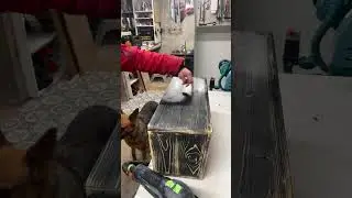 Live Dog Bowl Makeover | Sanding From Black to Pink 🐾