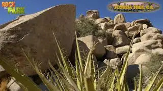 Desert Vibes | Rock the Park
