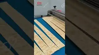 How Soda Crackers Are Made in Factory?