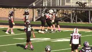 Howland Tigers vs Hickory Hornets  12U Superbowl  2025