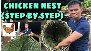 HOW TO MAKE CHICKEN NEST | FREE RANGE NATIVE CHICKEN