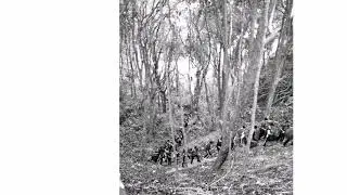 Ekspidisi Hijau IKM Besut