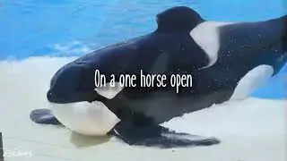 𝑪𝒉𝒓𝒊𝒔𝒕𝒎𝒂𝒔 𝑴𝒂𝒈𝒊𝒄