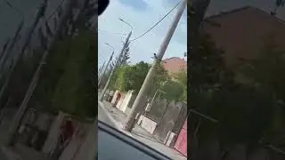 Klaus Iohannis a &icirc;nlocuit stiloul prezidențial cu o mătură