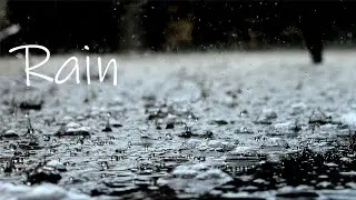 Rain Sound Effects | Sound Pack