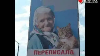 17.08.12 - Кот и бабушка