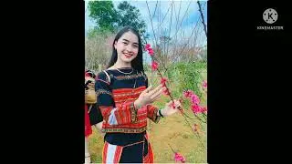 Nhạc dẫn MC đ&aacute;m cưới - Đinh Đan